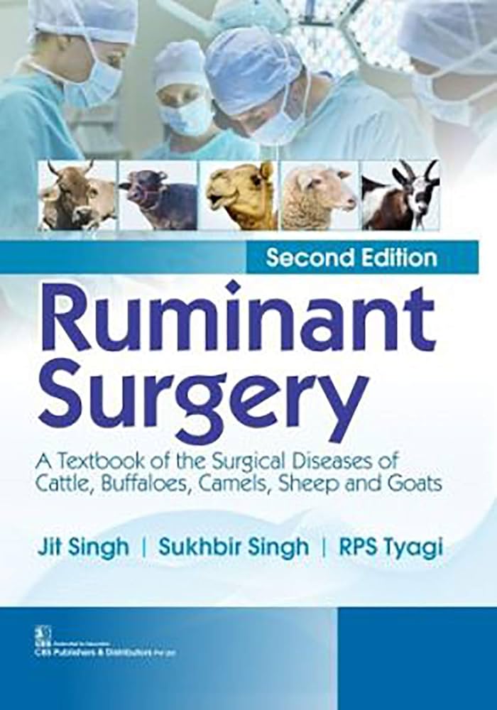 veterinary surgery